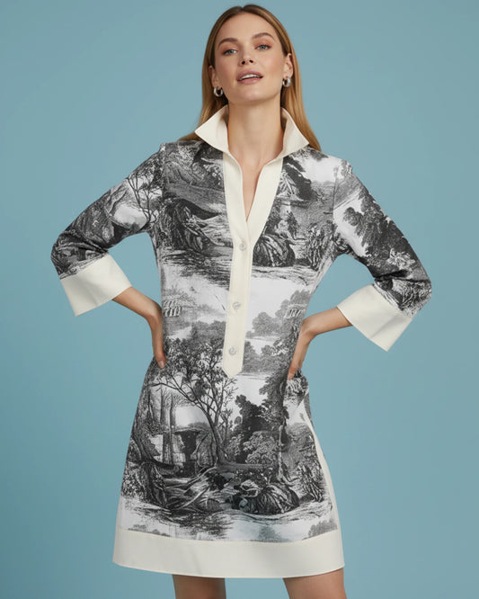 Women's Printed Shirt Mini Dress image